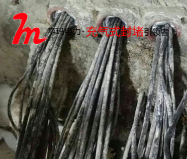 9B0ED0952B4BE3B3B12136473D5371C6_副本