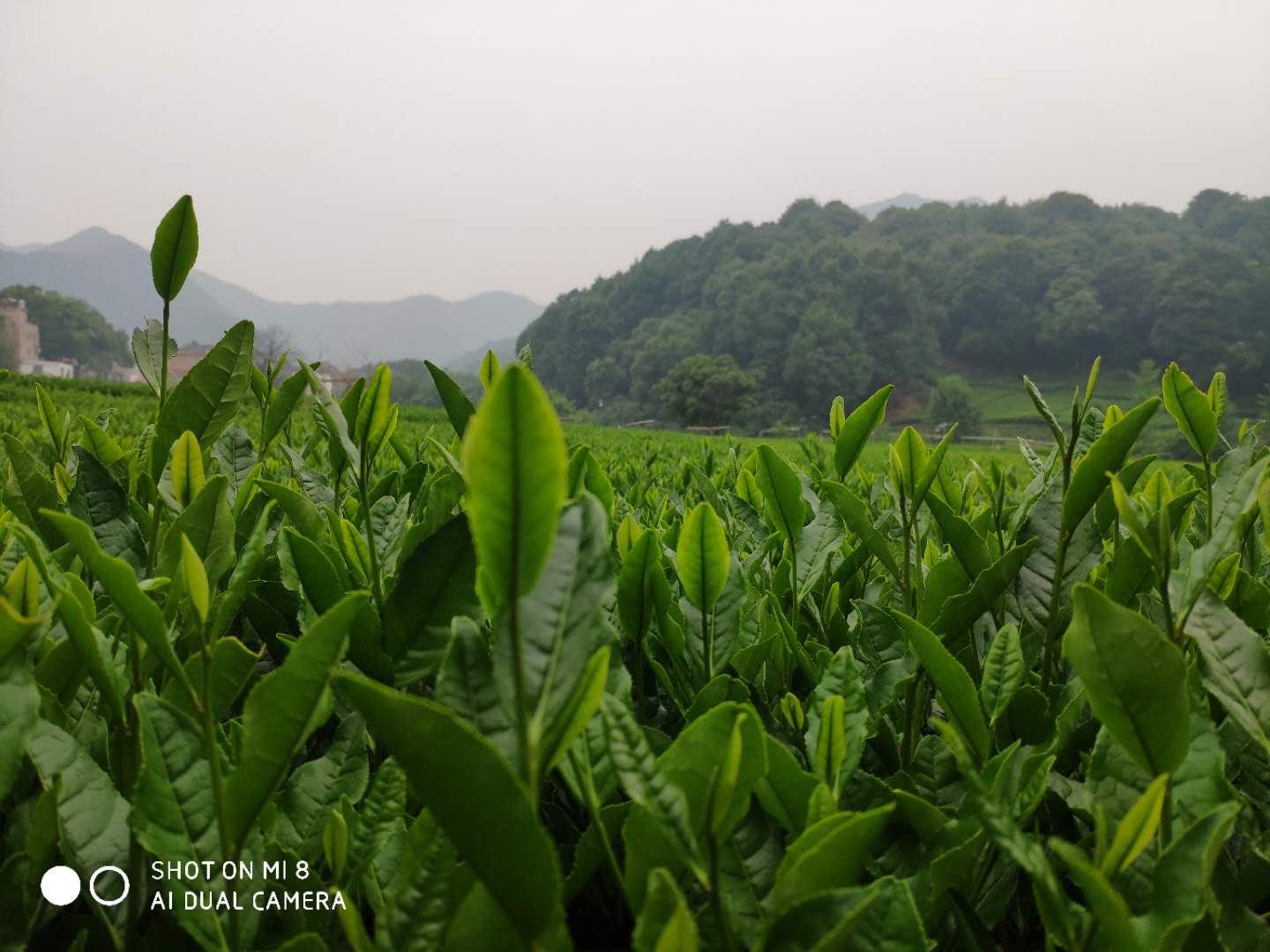 4152645ca4bb82f650ea8e862655c93