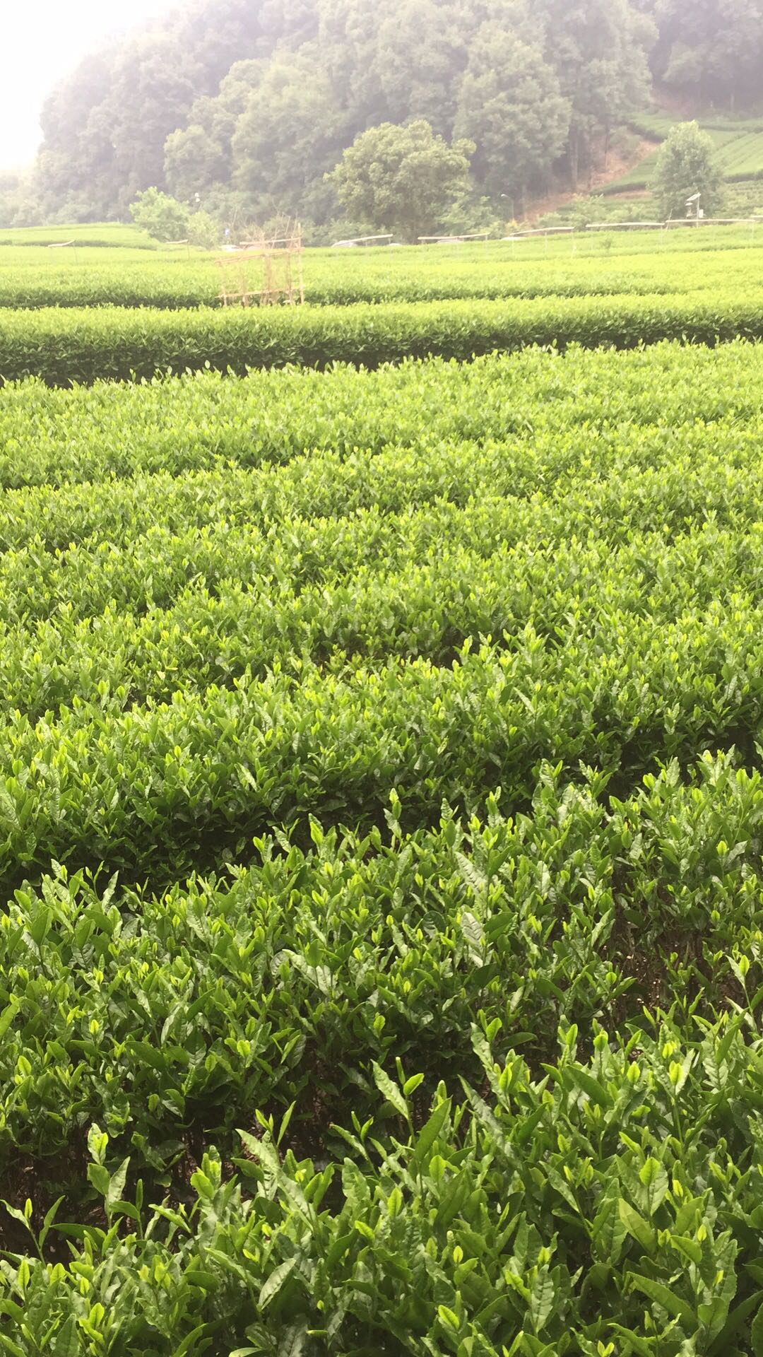 61e0cc9e4902fb58f4ab98e22256de2